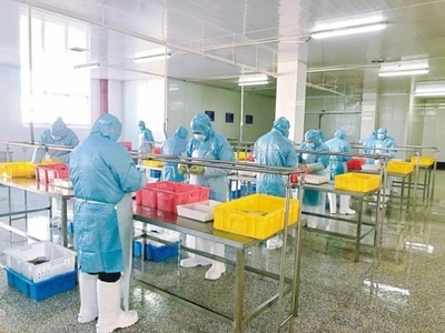 【強信心 增動能-高質量發展一線報道】把“舌尖”上的產業做精做細