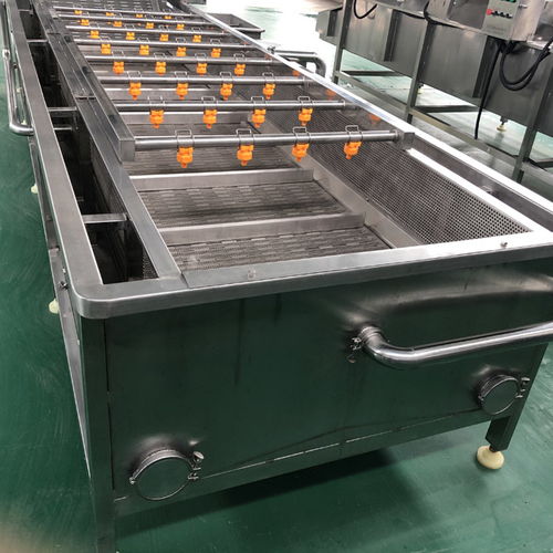 那曲地區(qū)豆角清洗機,諸城洗刷刷機械,優(yōu)質(zhì)豆角清洗機