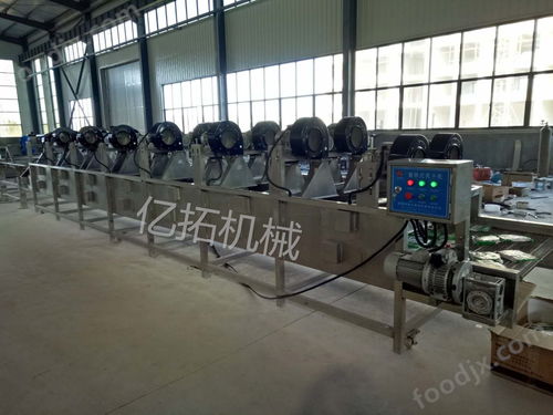 果蔬清洗風干線